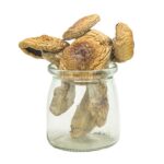 A+ Magic Mushrooms - Hp